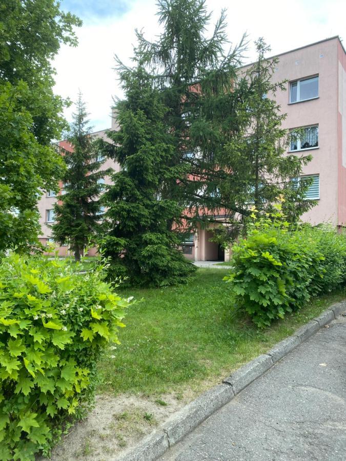 Zb Apartment Beige Piekary Slaskie Luaran gambar